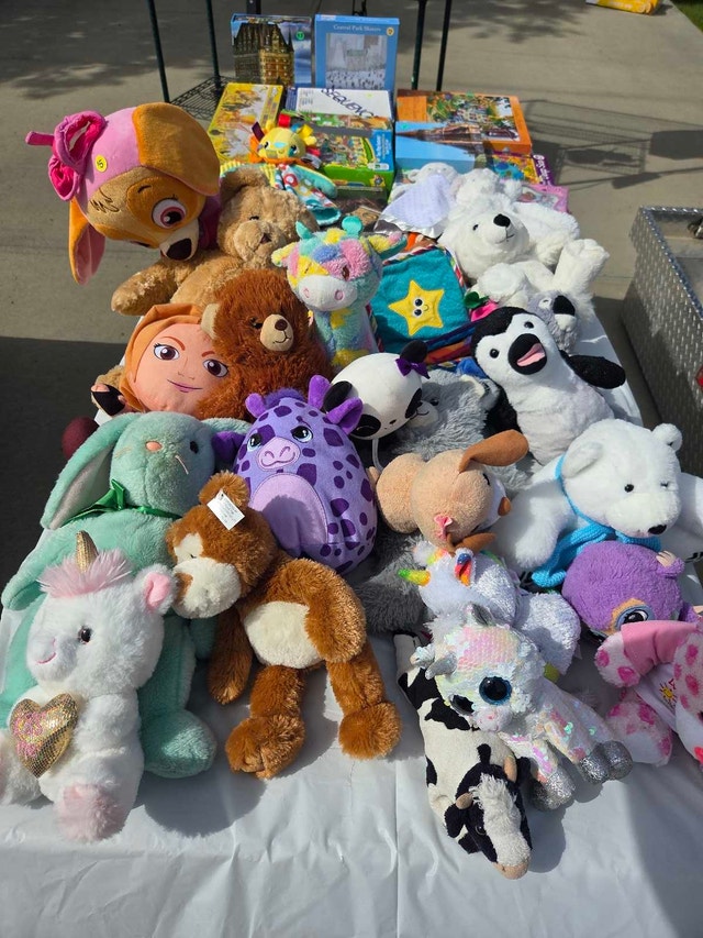 Garage Sale - Saturday June 13, 2026 10:00am - 5:00pm - photo 4