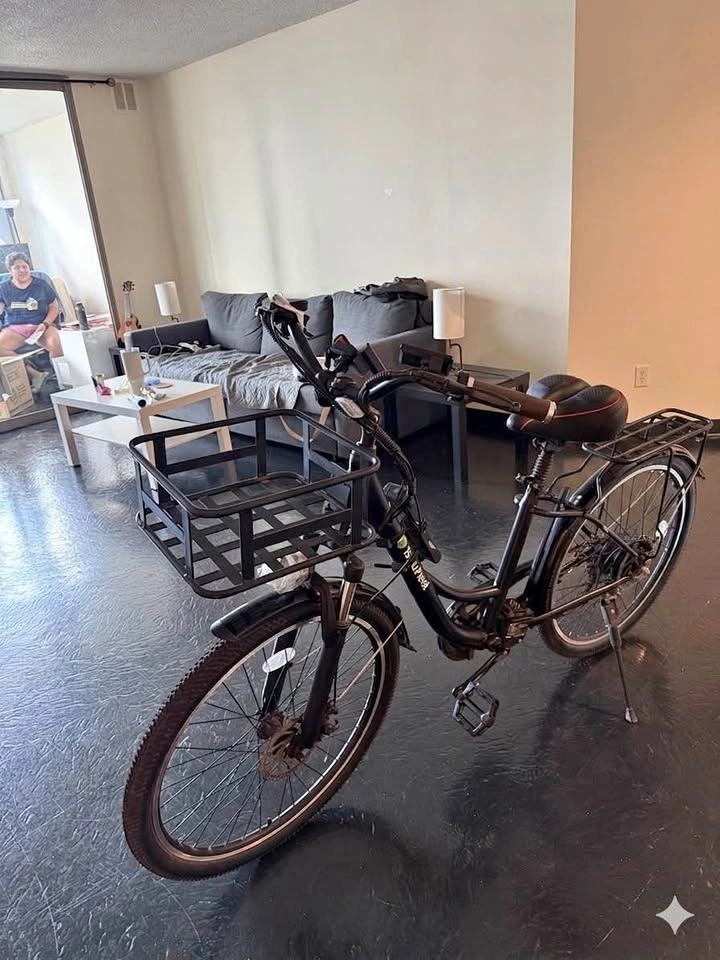 isinwheel Electric Bike – Excellent Condition