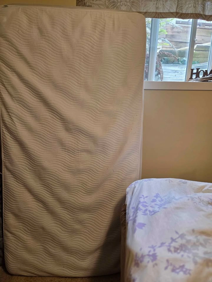 Like New Sealy Posturepedic Twin Mattress + Free Protector - photo 5