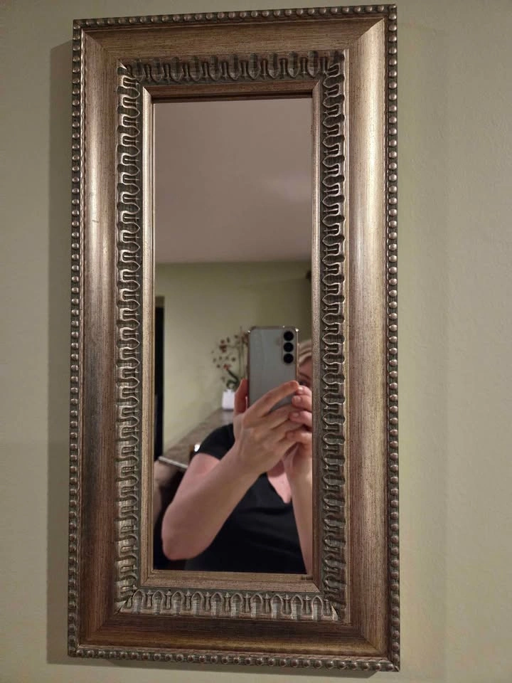 Amanti Art Sydney Silver Ornate Narrow Wall Mirror - photo 3