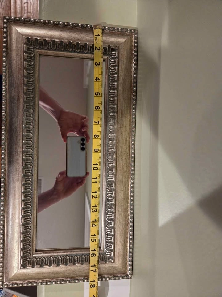 Amanti Art Sydney Silver Ornate Narrow Wall Mirror - photo 4