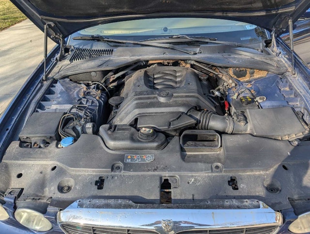 2004 Jaguar XJ8 needs a new home now - photo 5