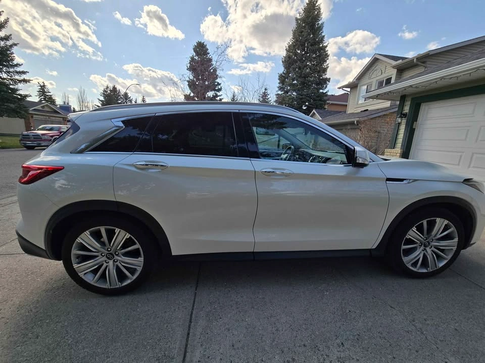 2020 Infiniti QX50 - photo 5
