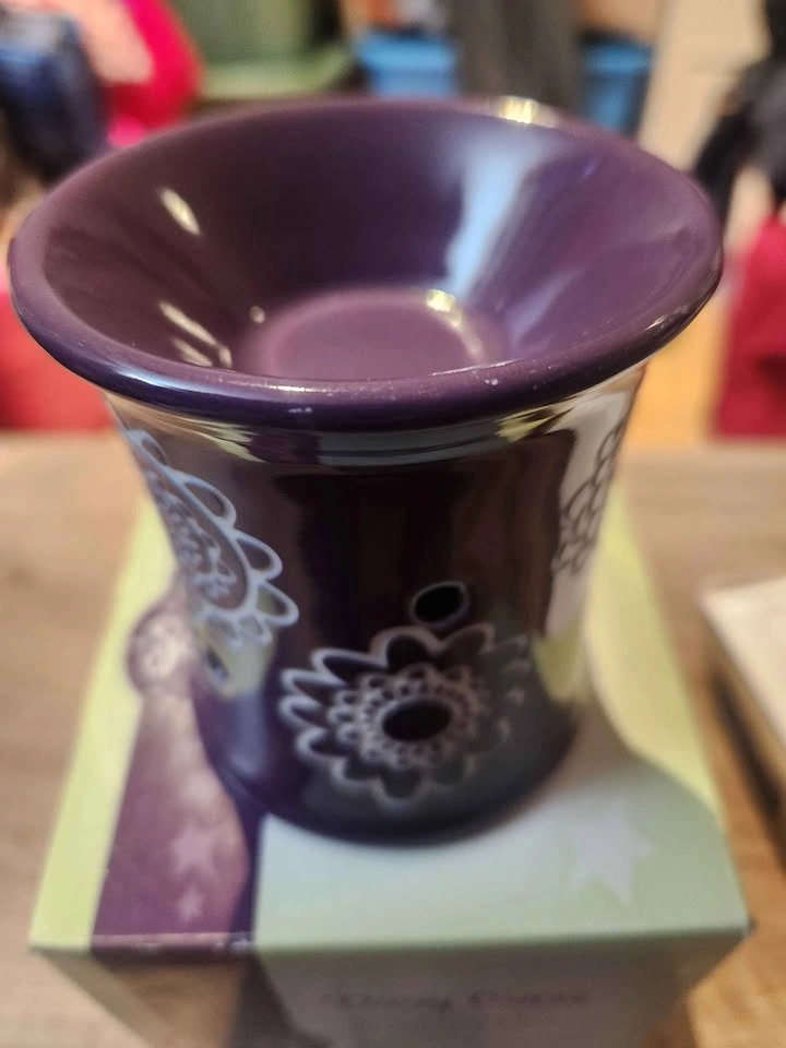 Scentsy Daisy Craze Plug In Warmer - photo 2