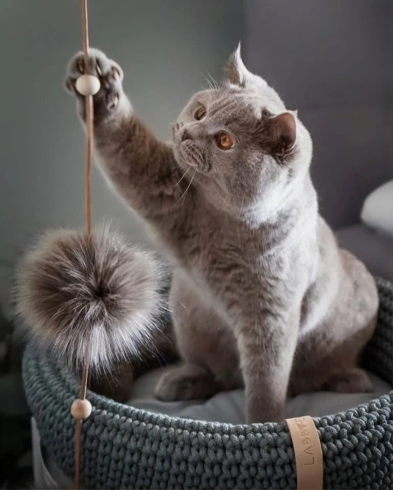 Cat toy - photo 2