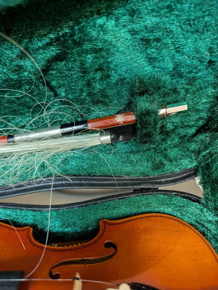 SUZUKI NAGOYA VIOLIN | FOR SALE - photo 3