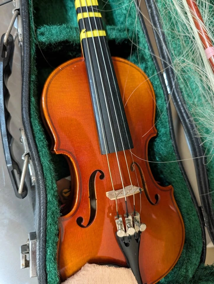 SUZUKI NAGOYA VIOLIN | FOR SALE - photo 4