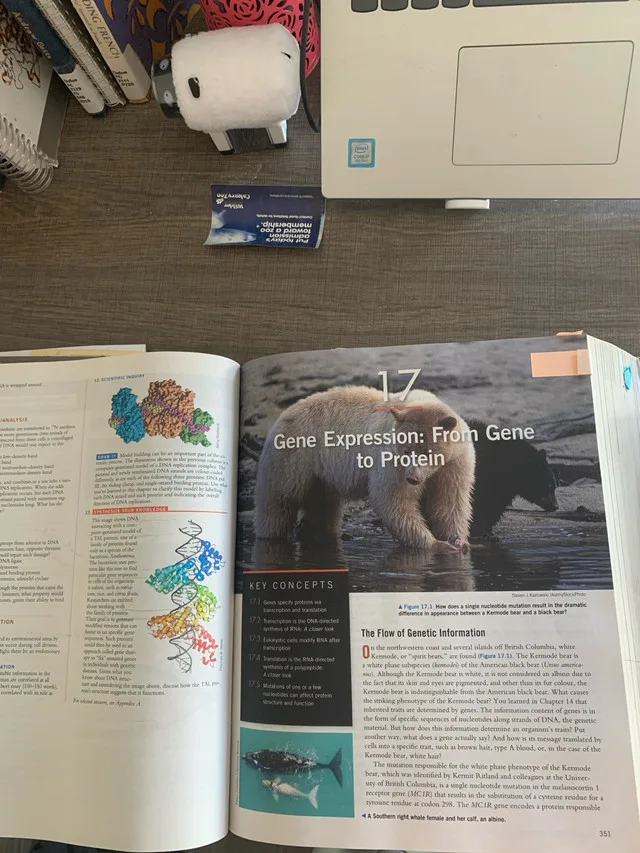 Pearson Campbell biology image indicator(4)