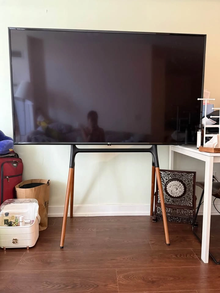 LG 65” Smart TV - photo 2