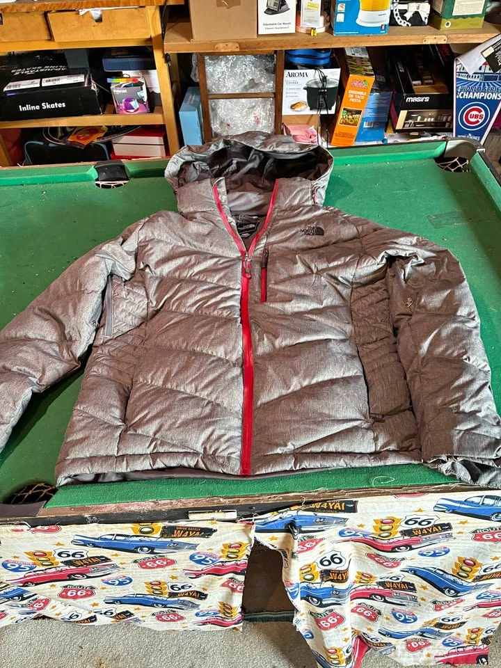 The north face mens jacket