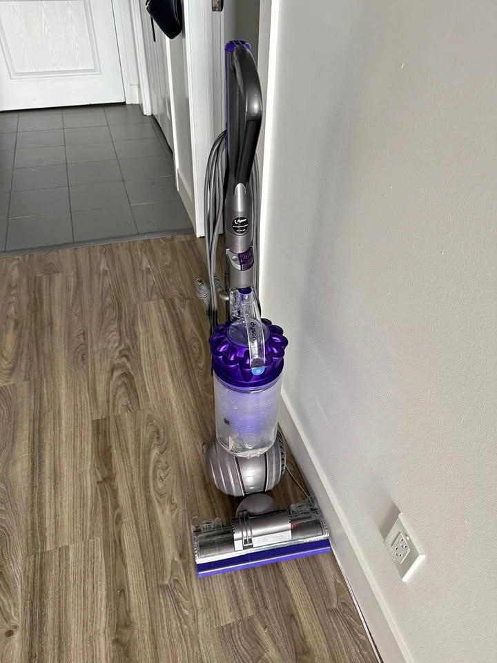 Dyson animal 2 pro vacuum