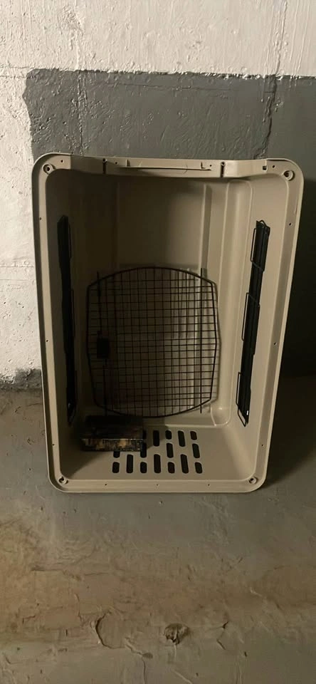Used dog crate in good condition