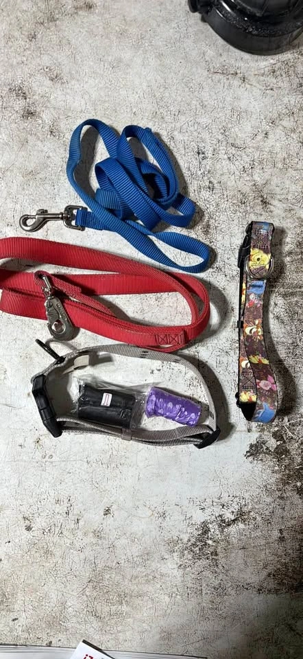 2 collars & 2 leashes