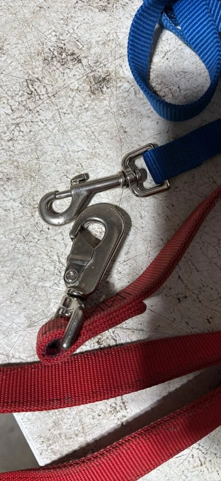 2 collars & 2 leashes - photo 2