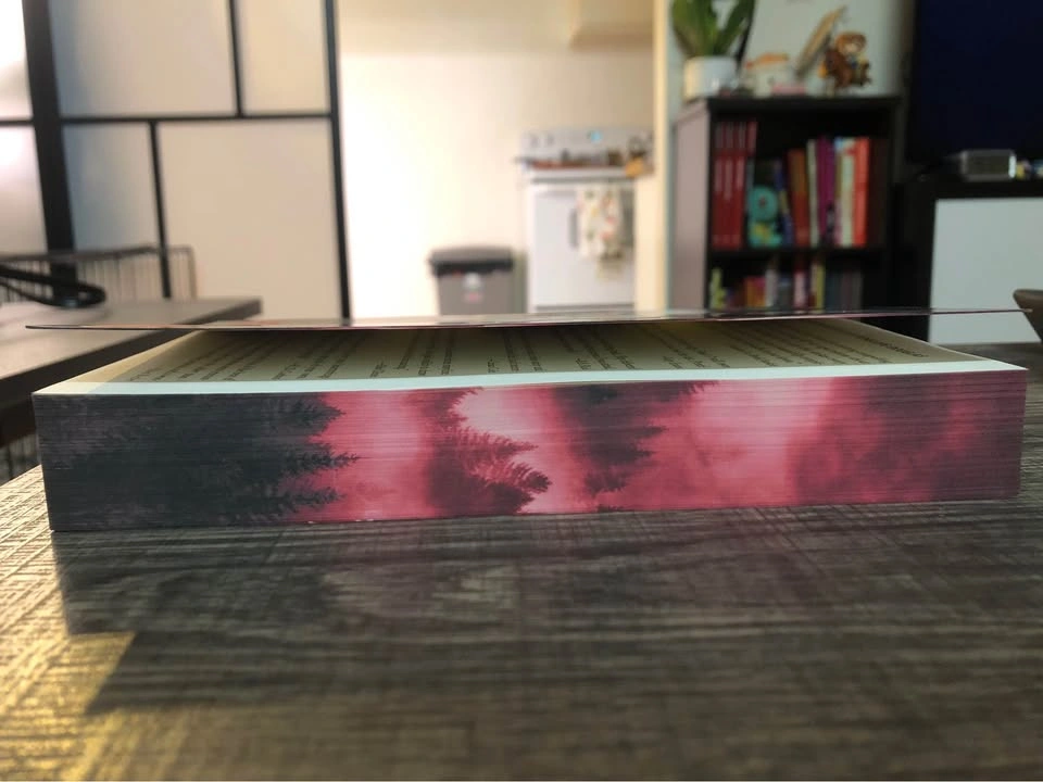 Credence: Deluxe Edition by Penelope Douglas - photo 2