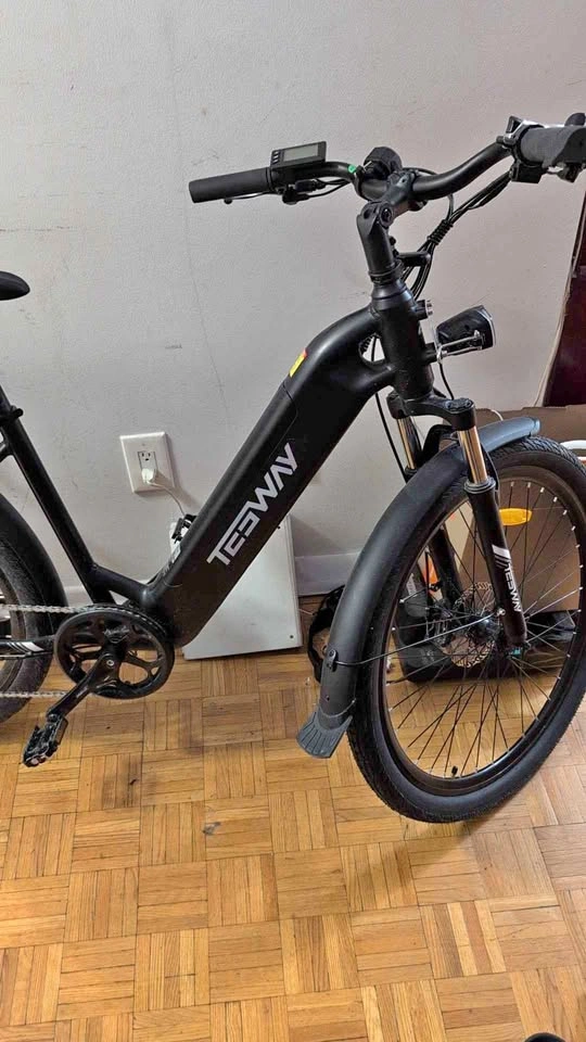 Tesway Walker Electric Bike