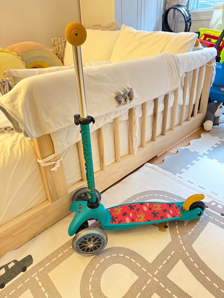 Micro Scooter - Camp Limited Edition Ages 2-5 Micro Mini