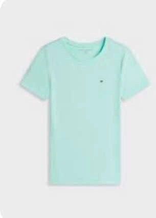 Tommy Hilfiger Women’s Crewneck T-Shirt – Mint Green (Medium)
