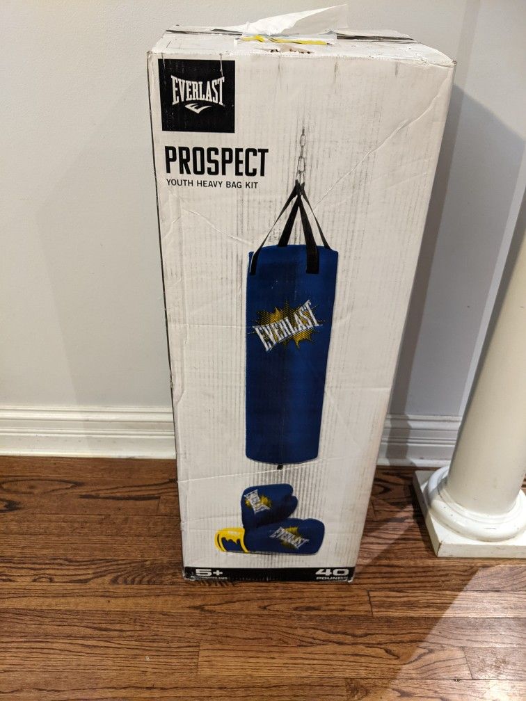 Everlast Prospect Youth Punching Bag with Gloves Sealed - photo 2
