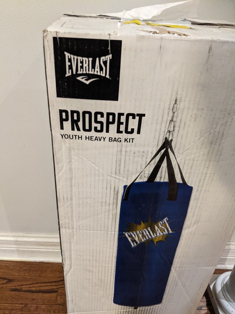 Everlast Prospect Youth Punching Bag with Gloves Sealed - photo 3