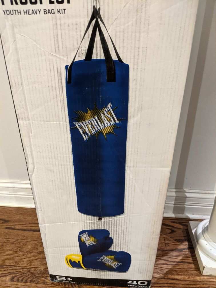 Everlast Prospect Youth Punching Bag with Gloves Sealed - photo 4