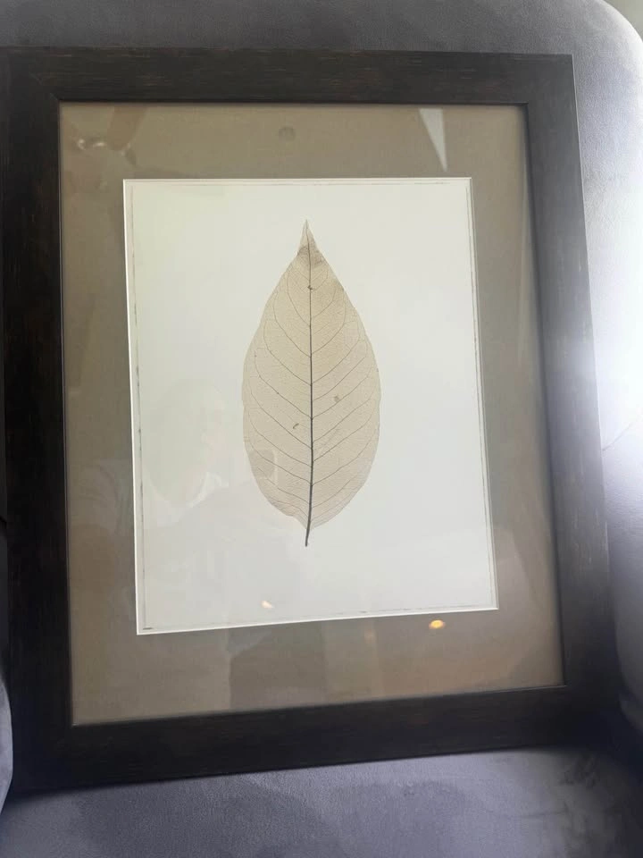 Artwork - photo 2