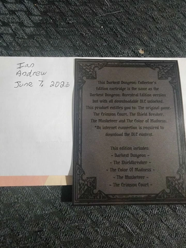 Darkest dungeon collectors edition switch - photo 5