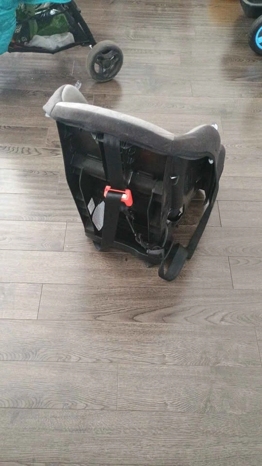 Evenflo Convertible Car Seat - photo 3