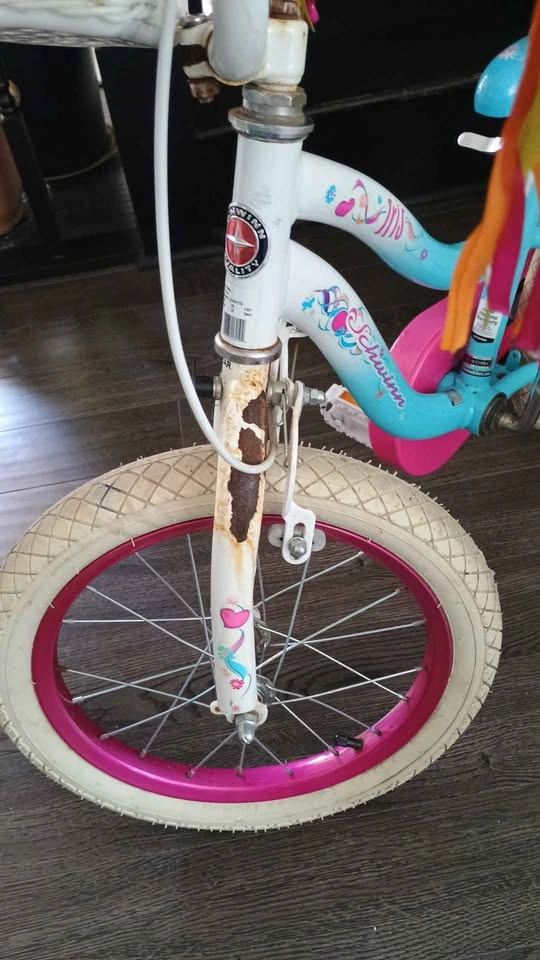Girl's Bicycle - photo 5