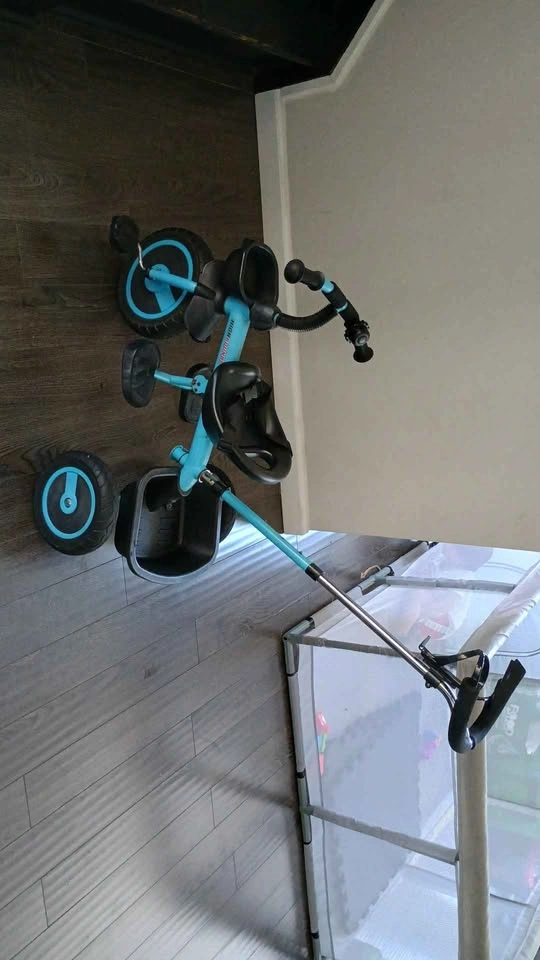 Tricycle - photo 2