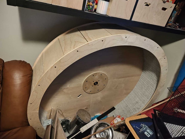 extra large cat wheel