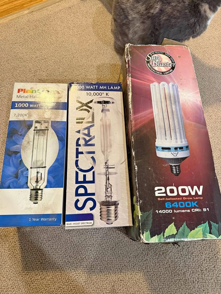 Greenhouse Lightbulbs