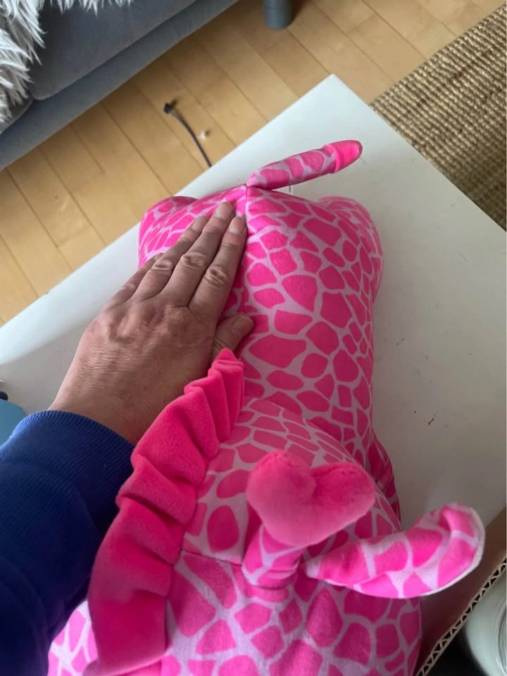Pink Plush Toy - photo 3