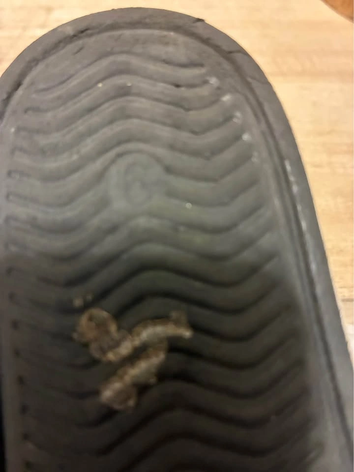 Skechers Kids Black Foamies size 6 - photo 5