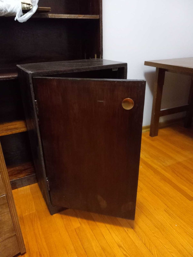 Wood cabinet with door