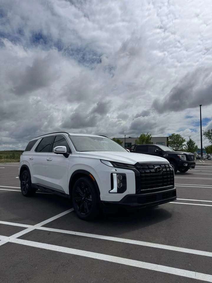 2025 Hyundai Palisade - photo 2