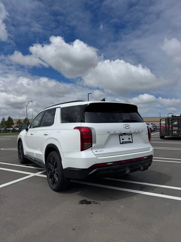 2025 Hyundai Palisade - photo 4