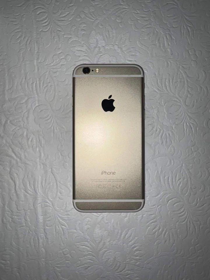 iPhone 6 (16GB, Rose Gold) Bundle – Carrier Unlocked - photo 2