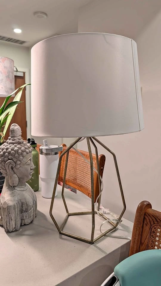 Lamp with lampshade