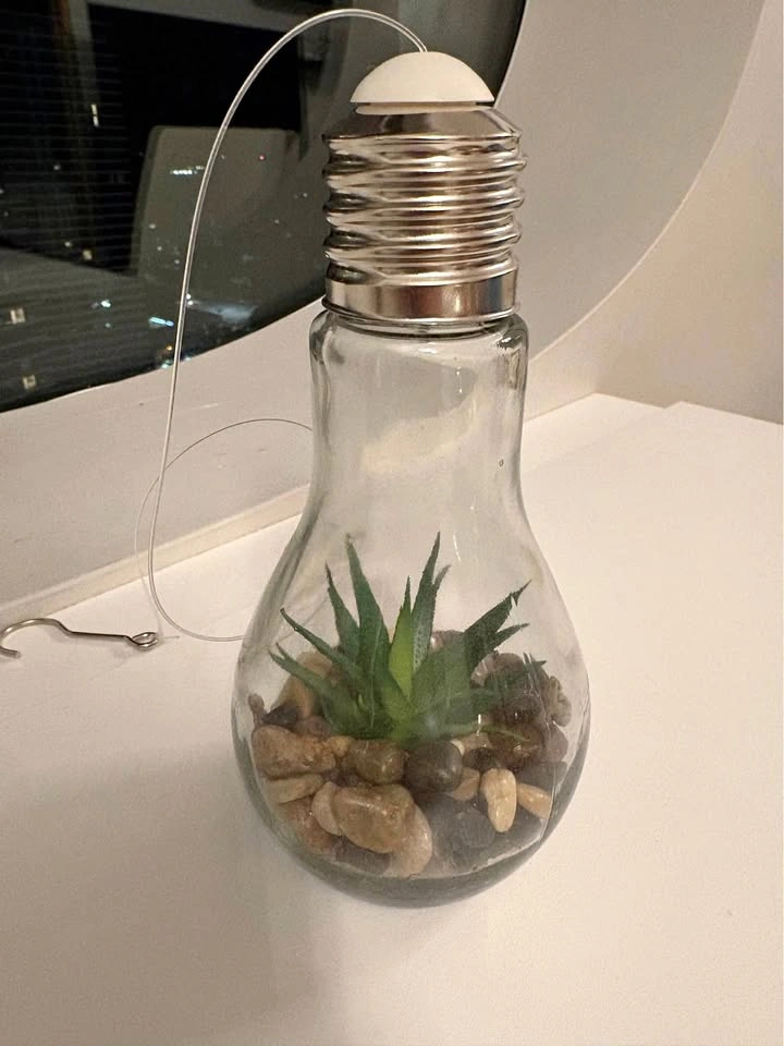 LED Light Bulb Succulent Terrarium