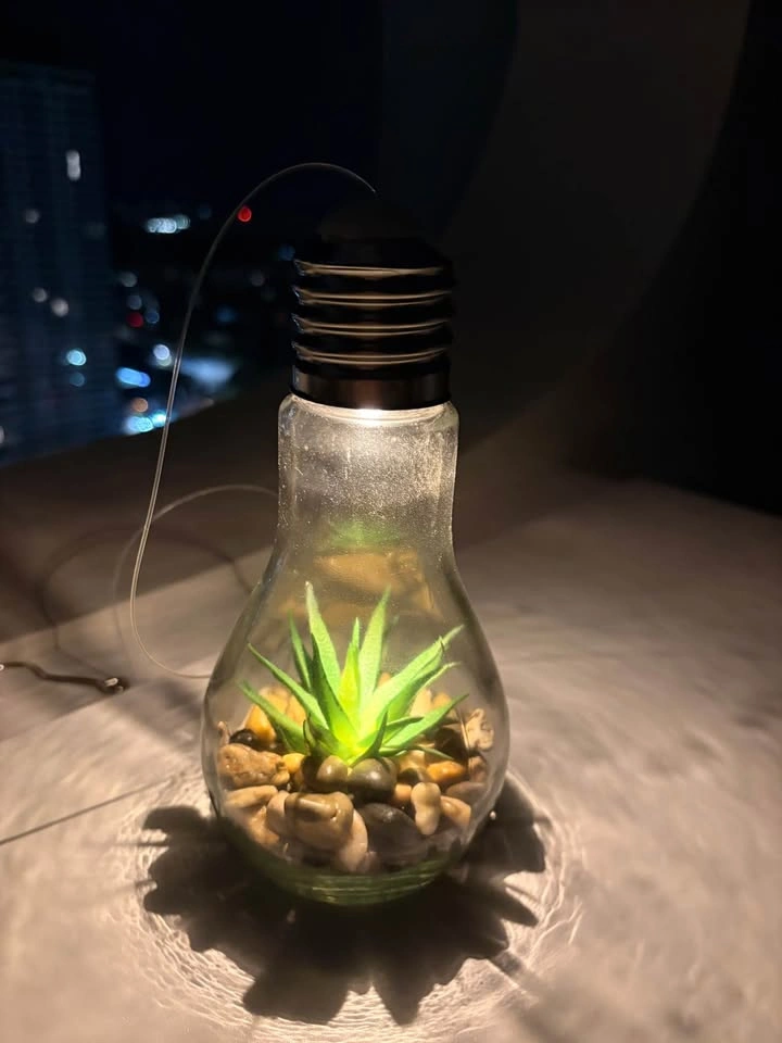 LED Light Bulb Succulent Terrarium - photo 2