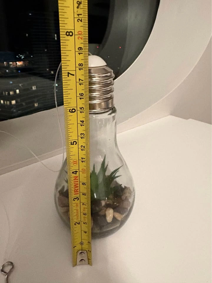 LED Light Bulb Succulent Terrarium - photo 3
