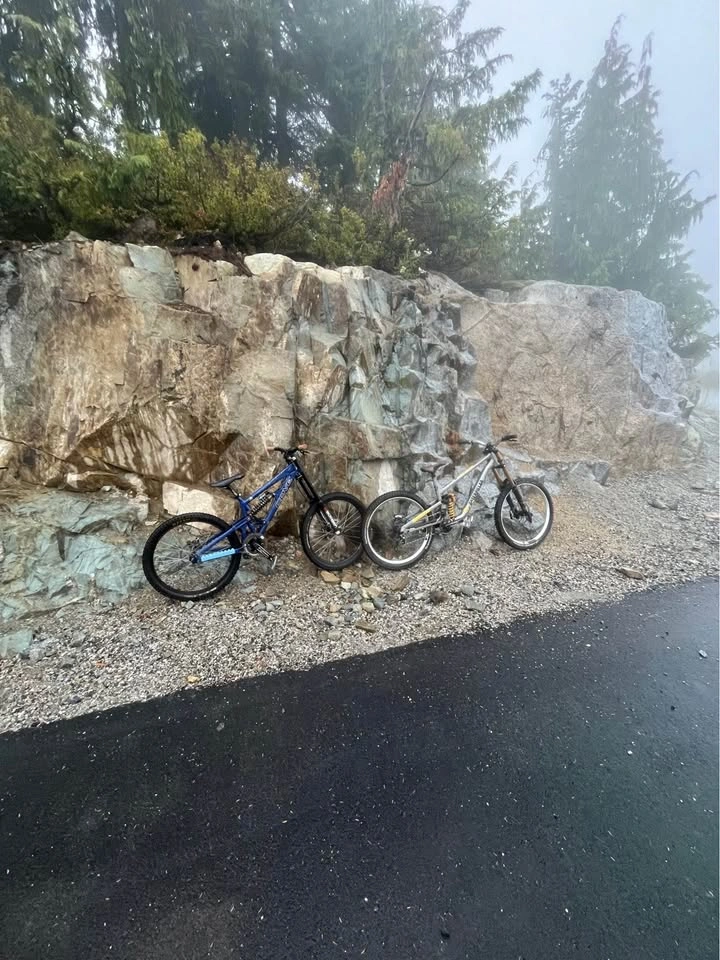 Cove Shocker - photo 4