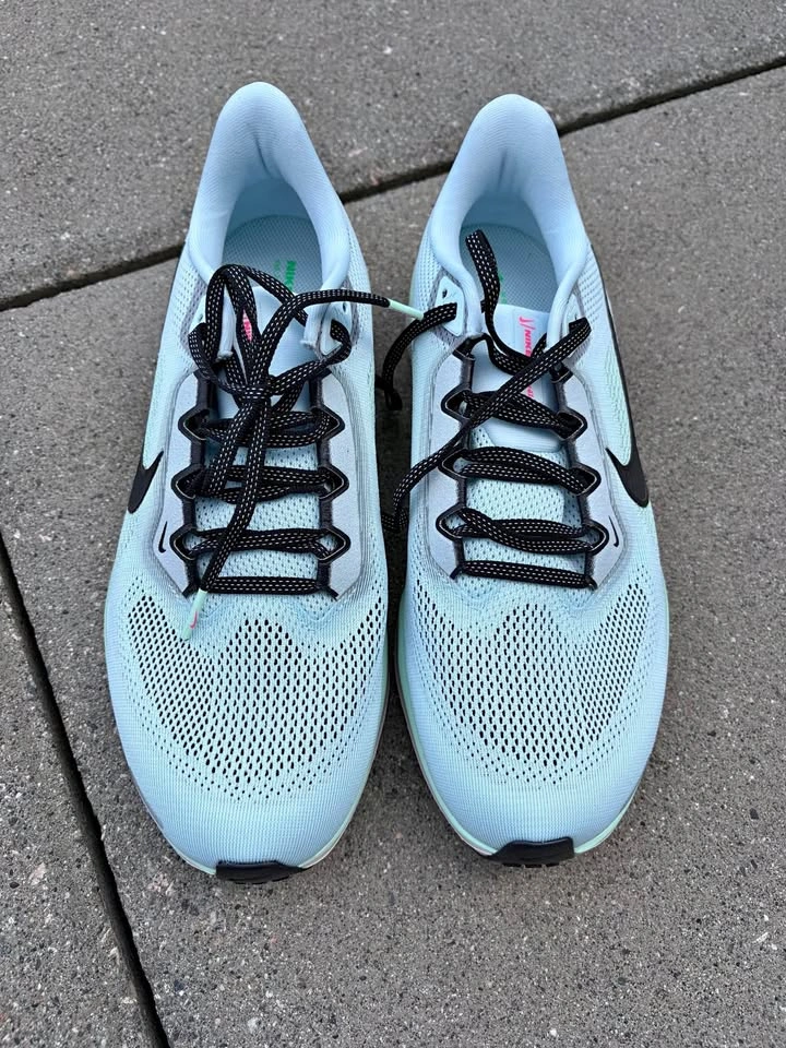 Nike Air Zoom Pegasus 39 Running Shoes