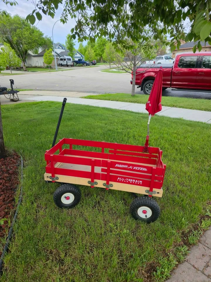 Beautiful Radio Flyer All Terrain Kids Wagon - photo 5