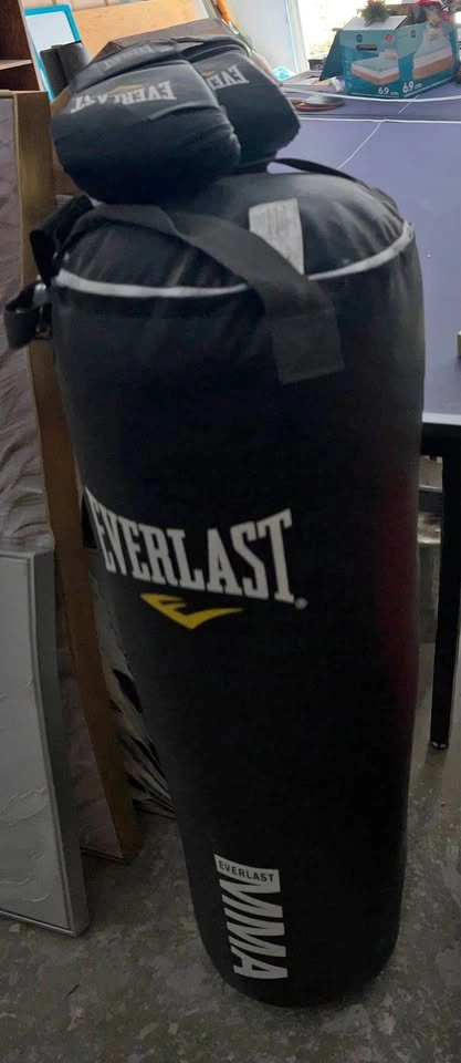 Everlasting boxing bag and gloves