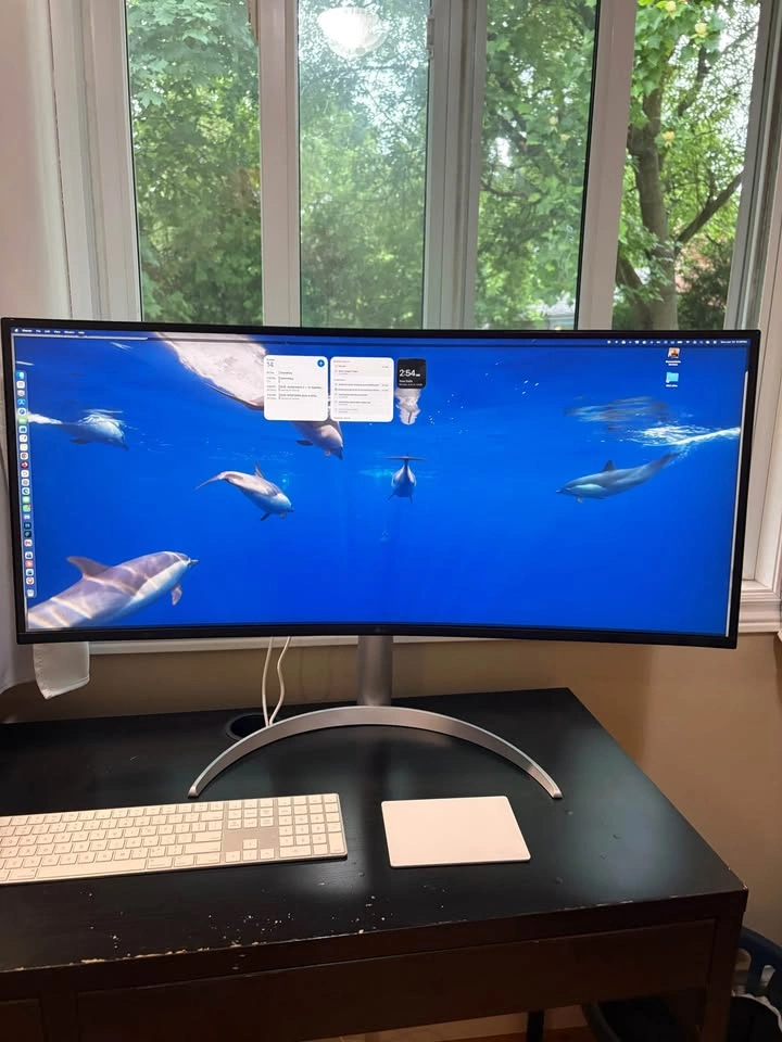 LG 38” Curved UltraWide Monitor 38WP85C-W (USB-C, 3840x1600) - photo 4