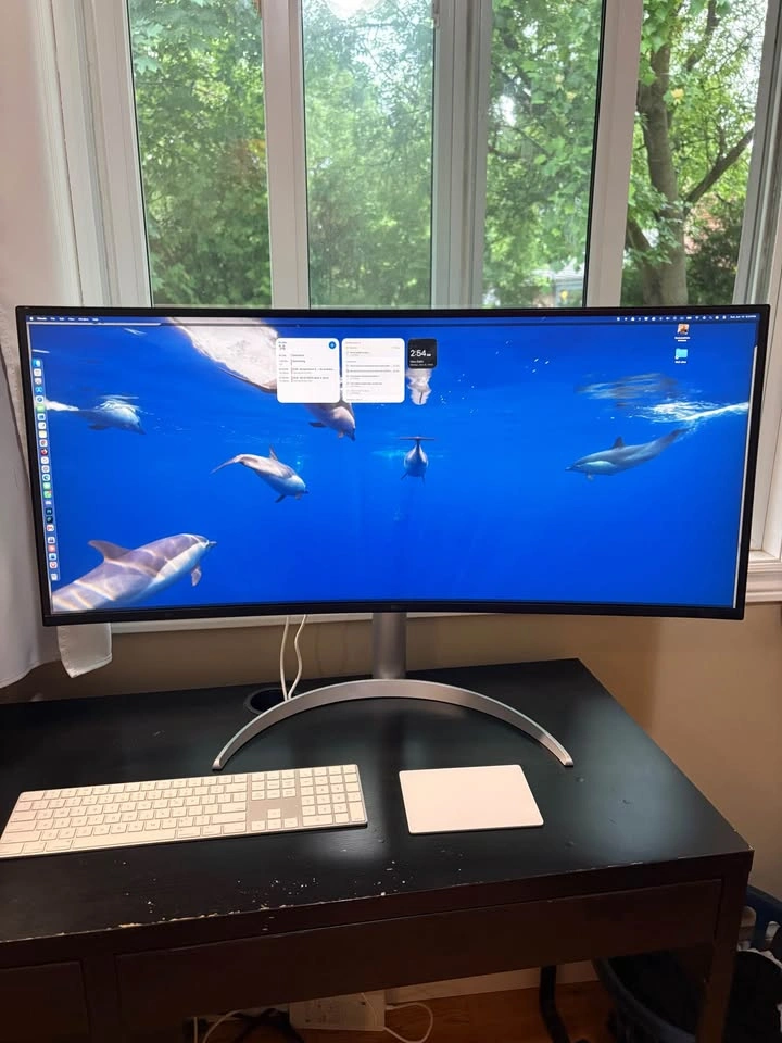 LG 38” Curved UltraWide Monitor 38WP85C-W (USB-C, 3840x1600) - photo 5