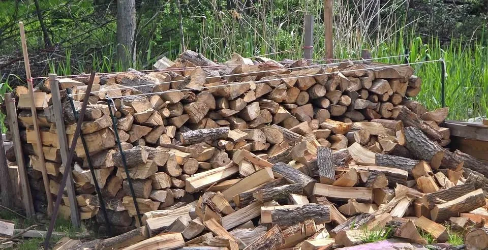 Firewood & Tree Services - Clinton County Area