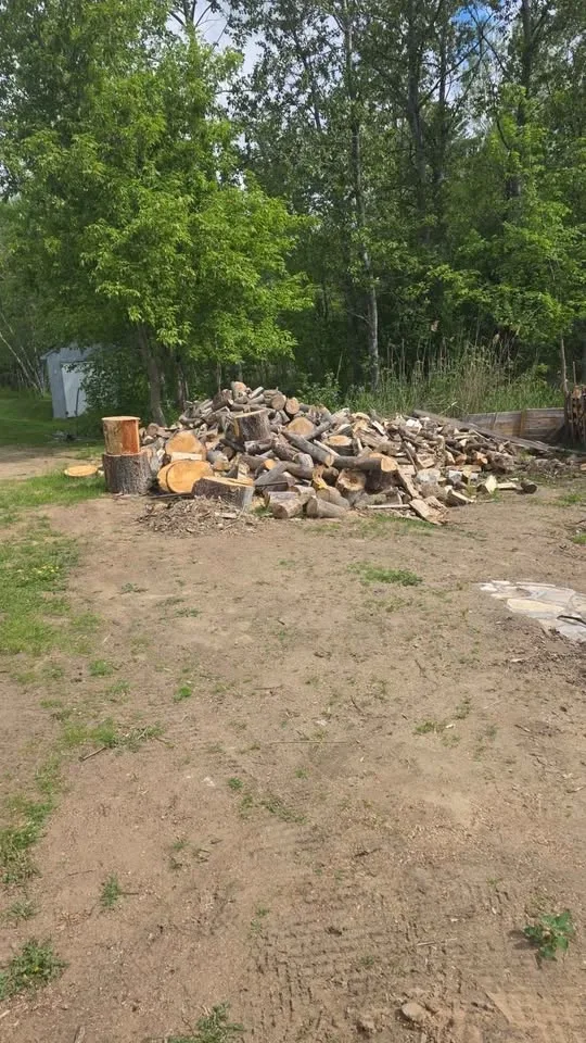 Firewood & Tree Services - Clinton County Area - photo 2